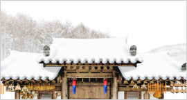정통운세